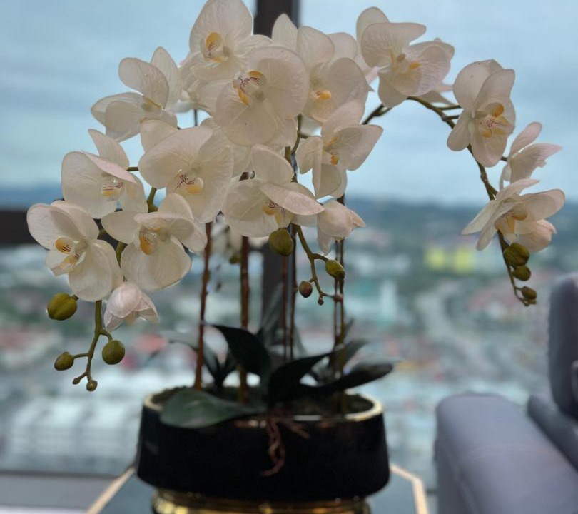 Photo of Others in Bangi Sentral