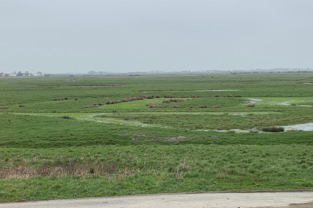 Photo of Others in Beauvoir-sur-Mer
