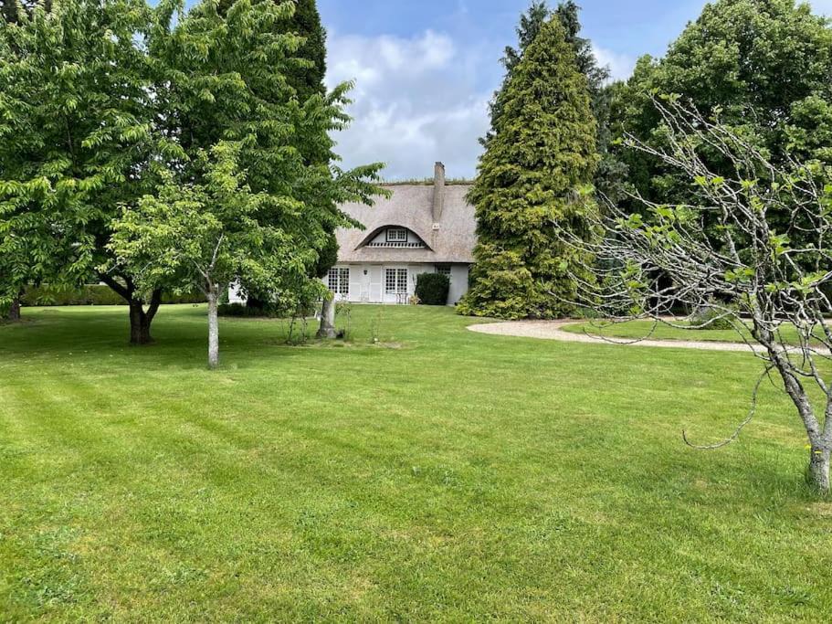 Photo of Buildings in Malaunay