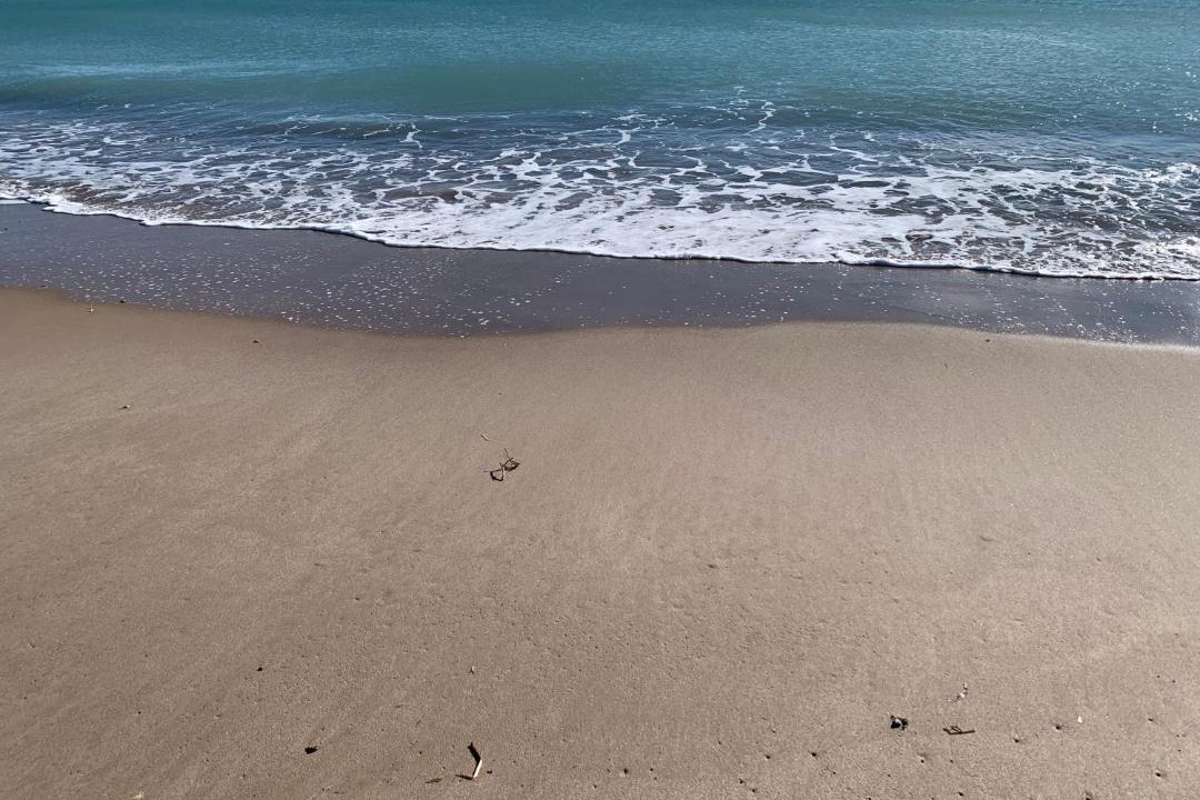Photo of Others in Playa de Almarda