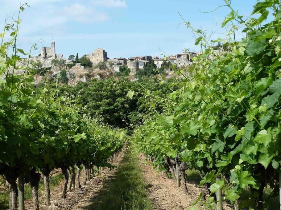 Photo of Others in Saint-Martin-d'Ardeche