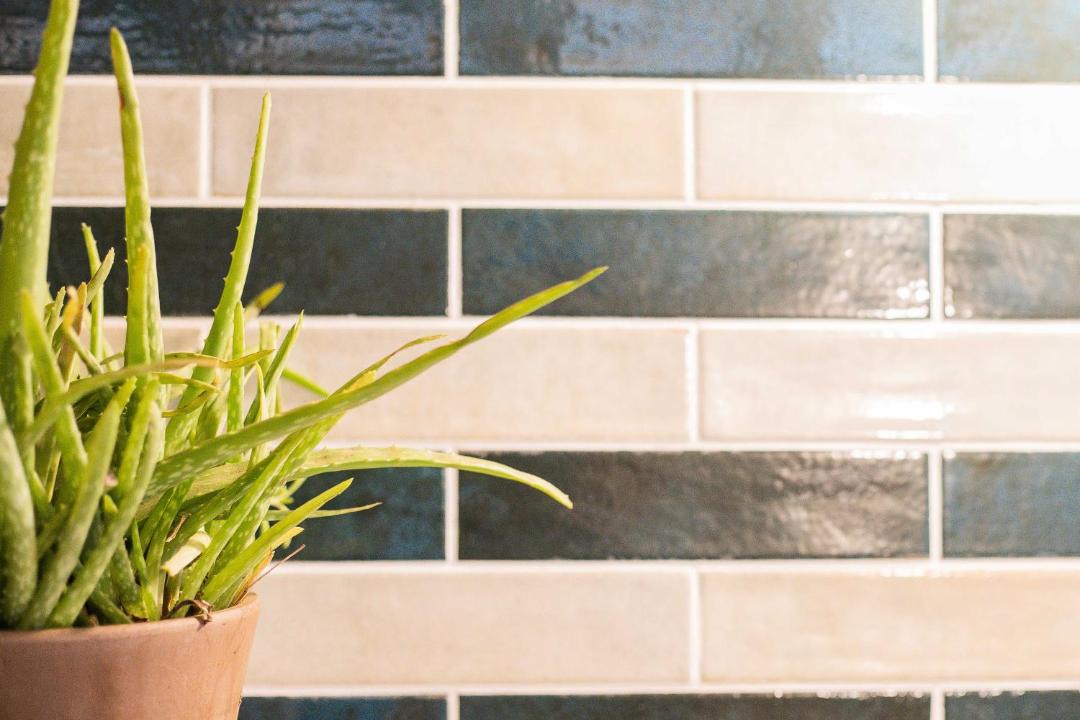 Photo of Others in Chiatra