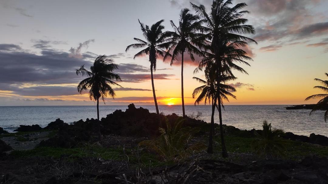 Photo of Others in Ocean View