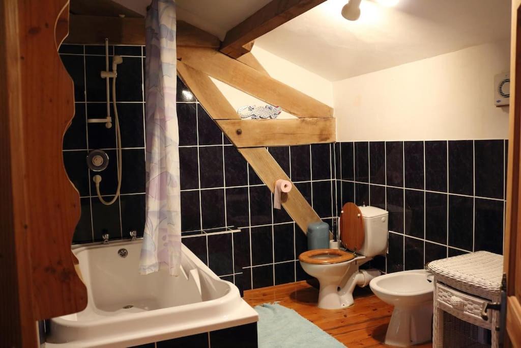 Photo of Others in Lizant