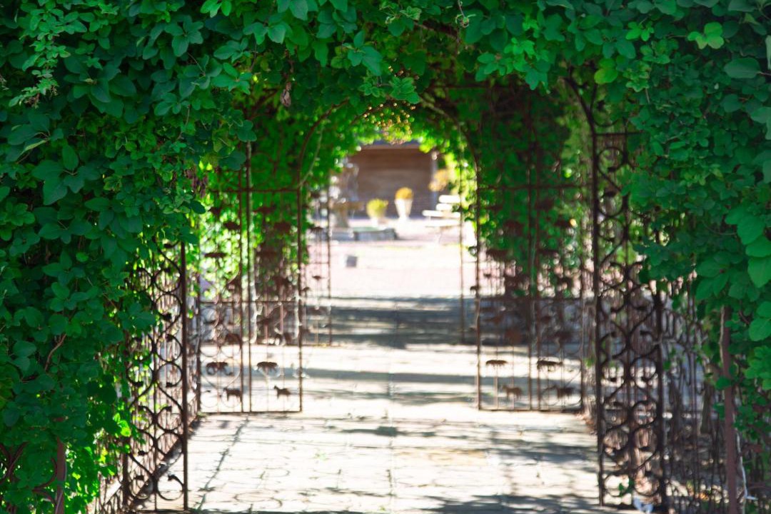 Photo of Others in Sheffield Green