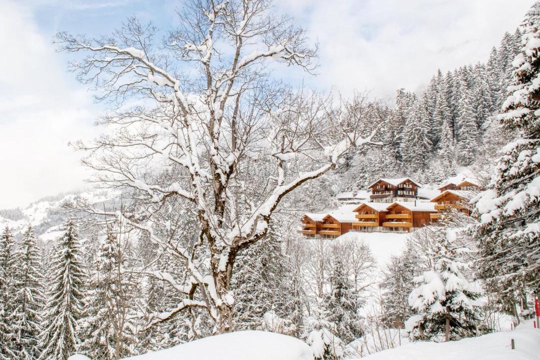 Photo of Others in Wengen