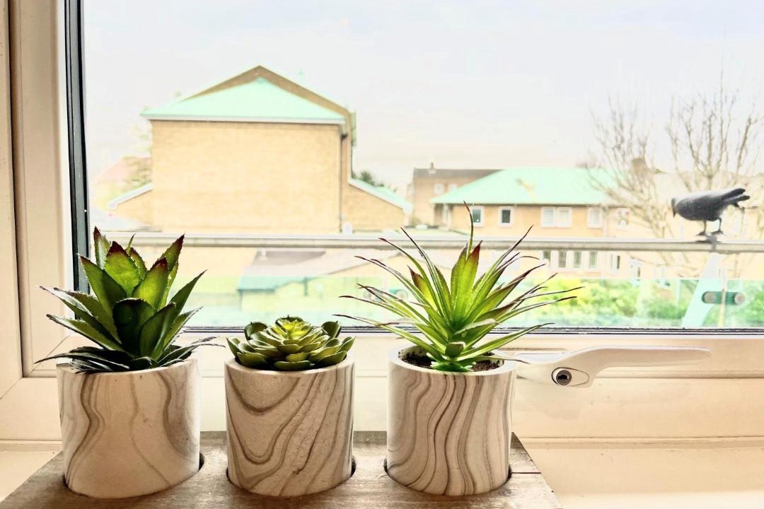 Photo of Others in Grange