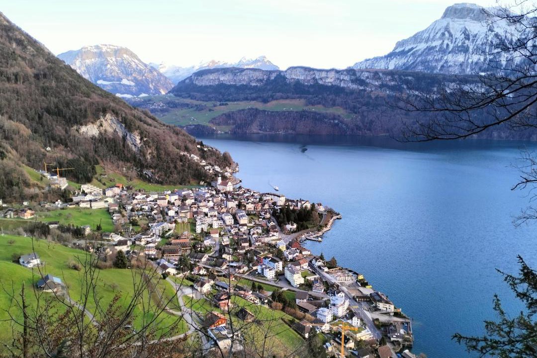 Photo of Others in Gersau