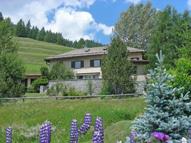 Photo of Buildings in Madulain