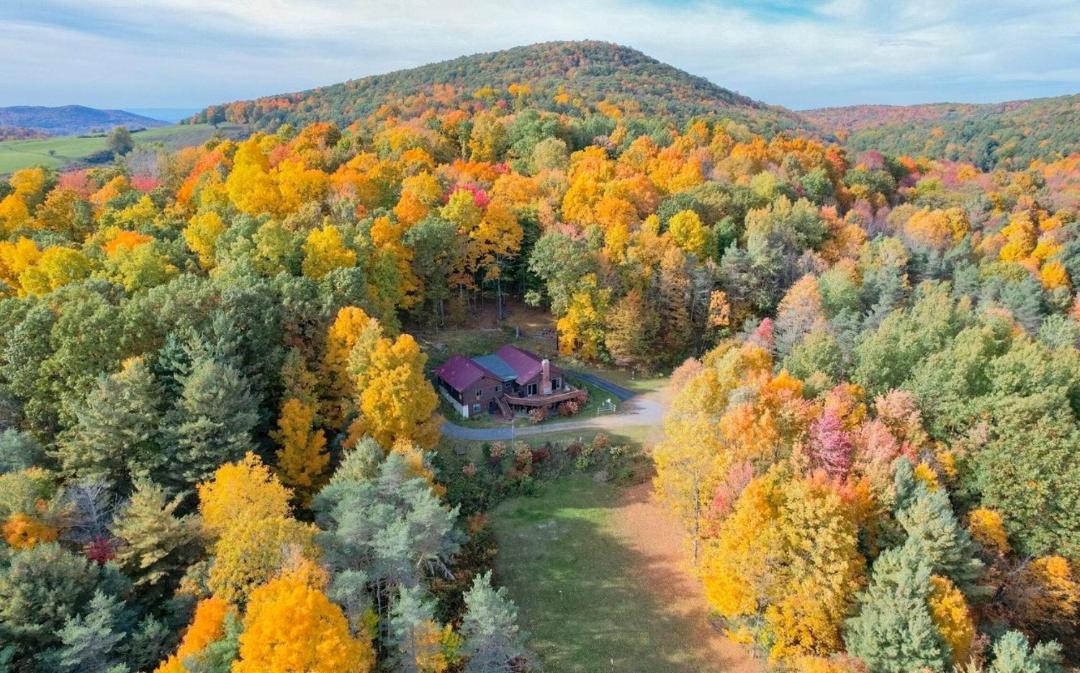 Photo of Outdoor in Cambridge
