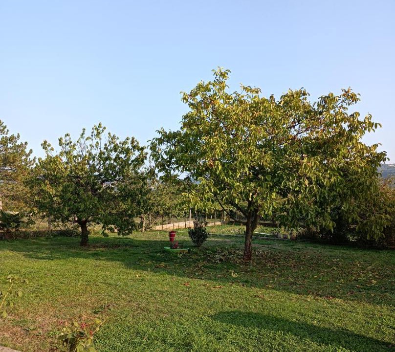 Photo of Others in Vinez