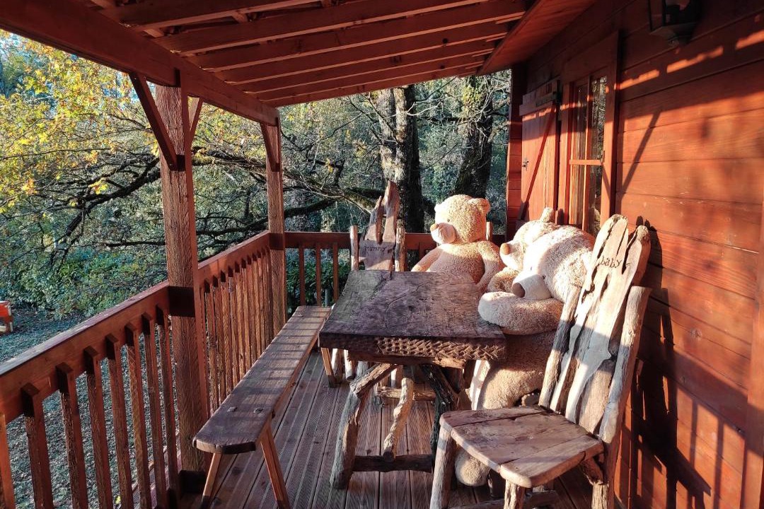 Photo of Others in Catus