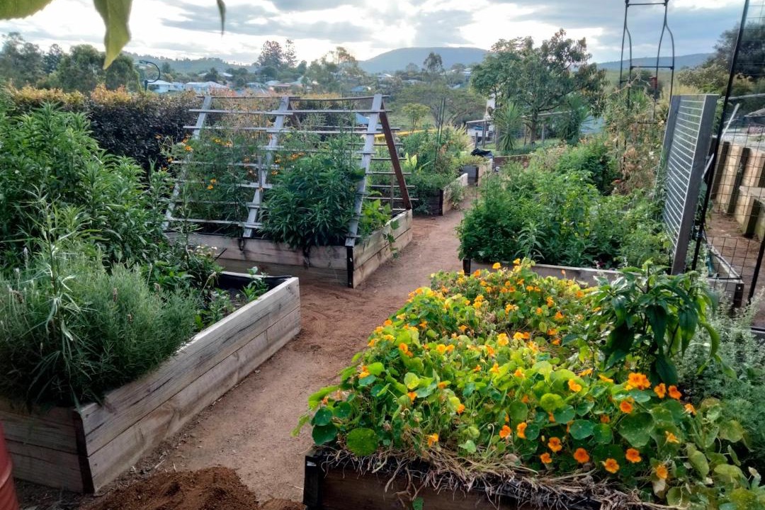 Photo of Others in Boonah