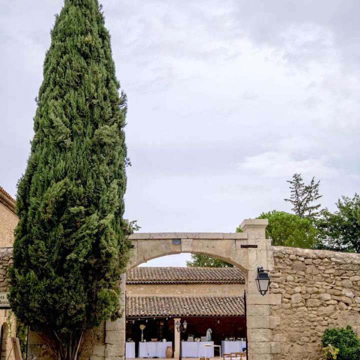 Photo of Others in Aurons