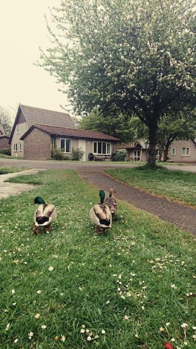 Photo of Others in St. Tudy