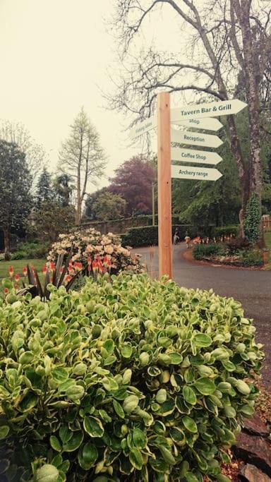 Photo of Others in St. Tudy