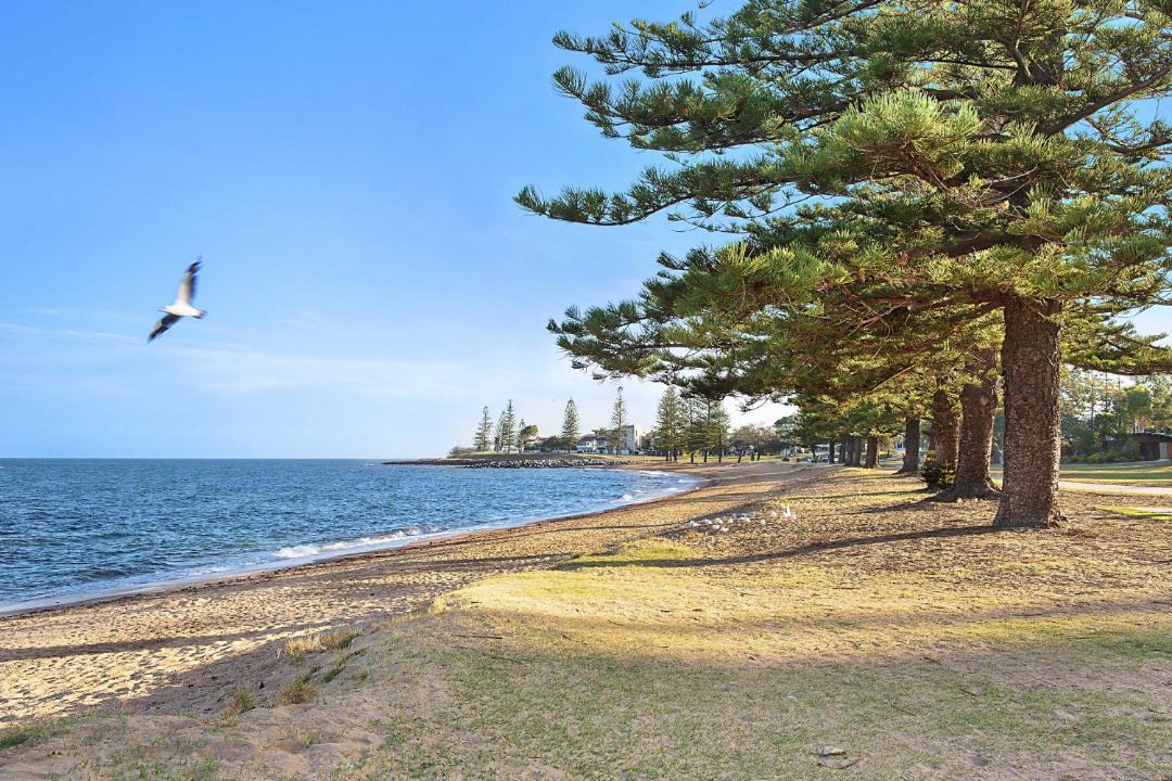 Photo of Others in Scarborough