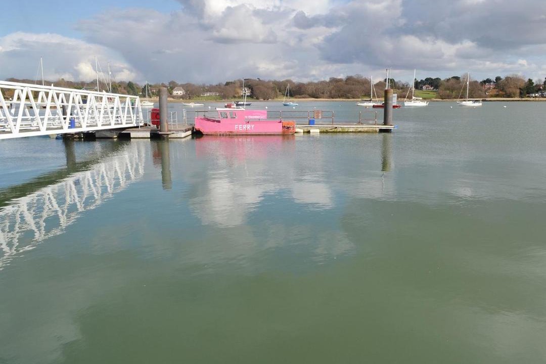 Photo of Others in Netley