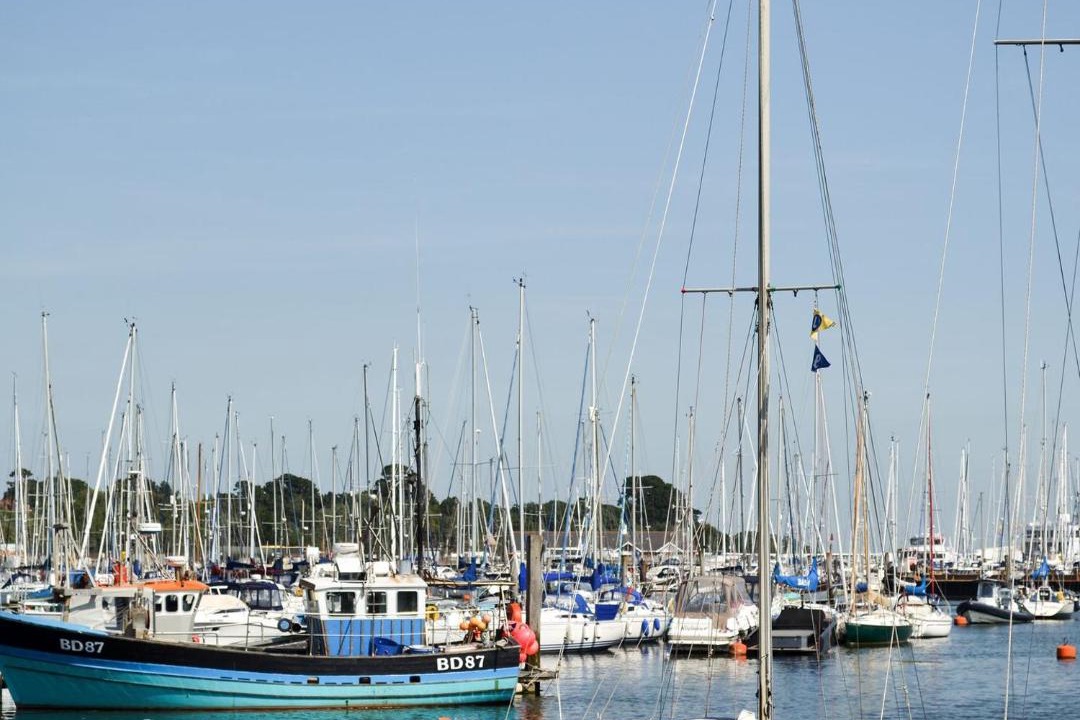 Photo of Others in Netley