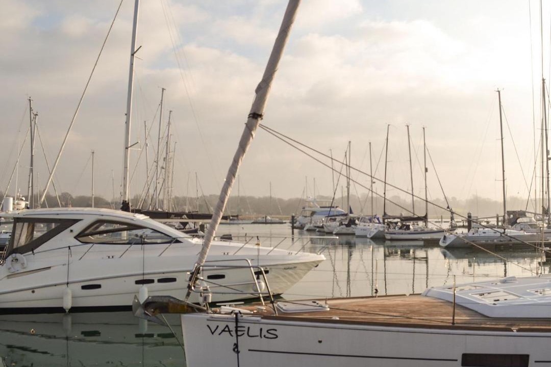 Photo of Others in Netley