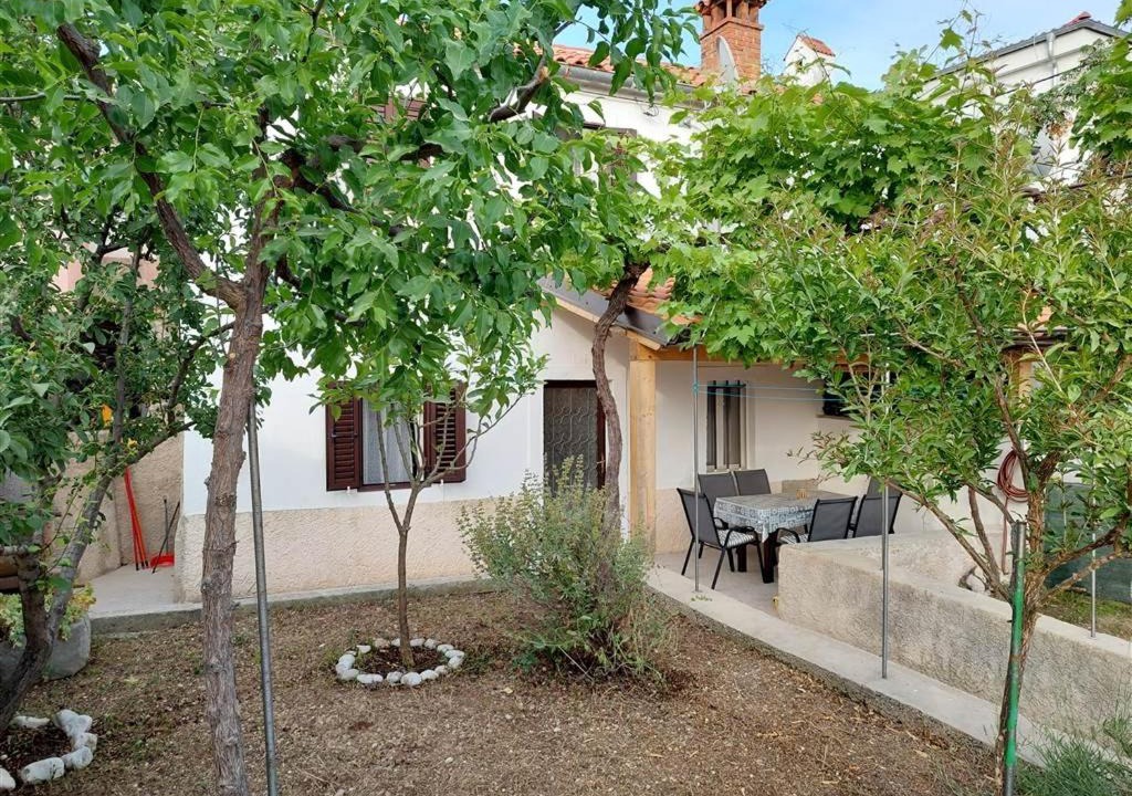 Photo of Others in Miholascica