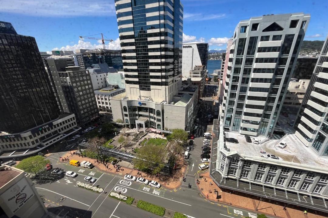 Photo of Buildings in Wellington