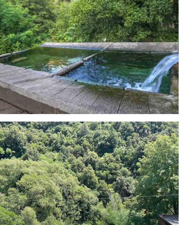 Photo of Others in Bains de Guitera