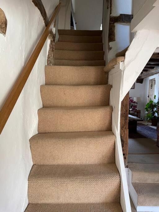 Photo of Others in Halstead