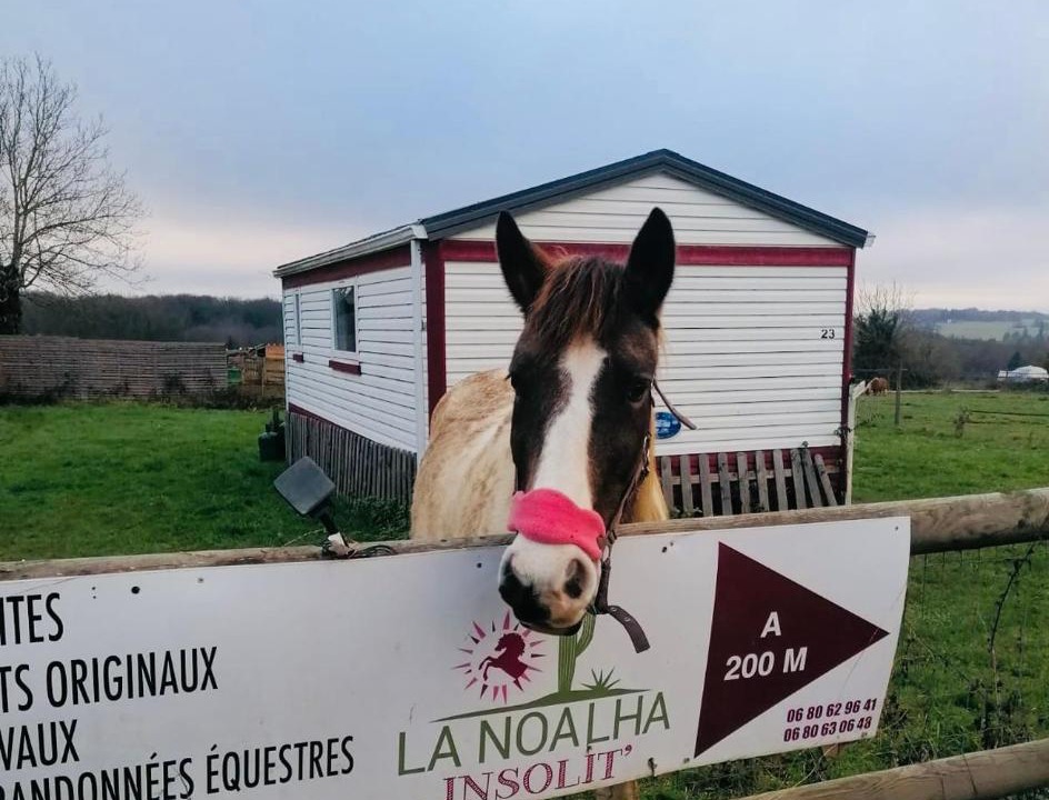 Photo of Others in Lanouaille