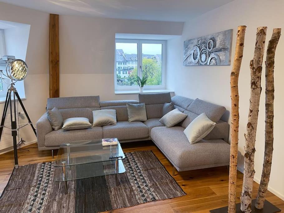 Photo of Livingroom in Rapperswil