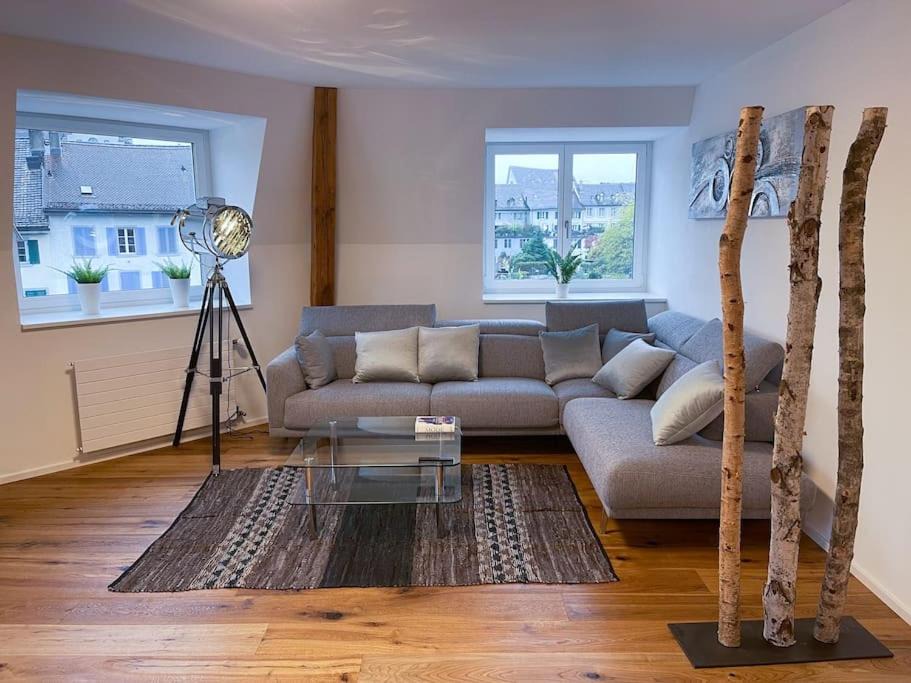 Photo of Livingroom in Rapperswil