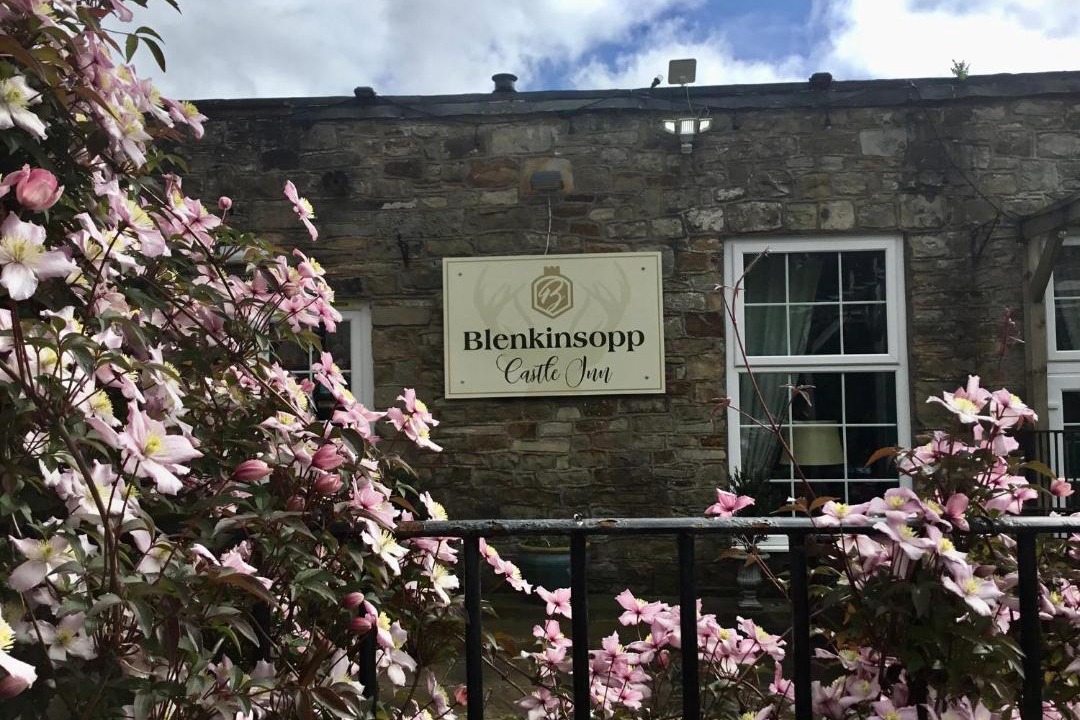 Photo of Others in Brampton