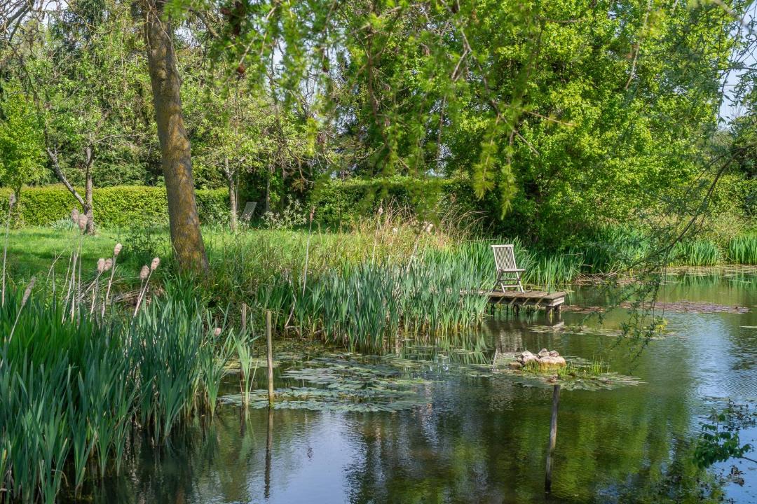 Photo of Others in Stansfield