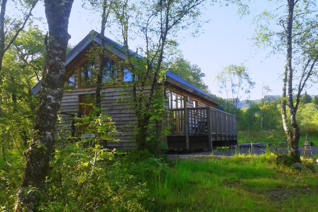 Photo of Others in Dallavich