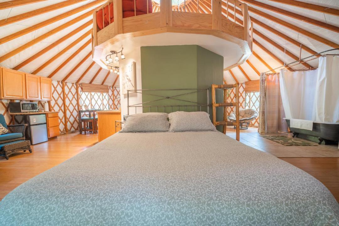 Photo of Others in Big Bar