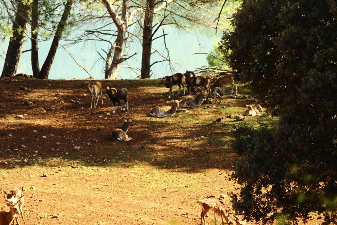 Photo of Others in Arroyo Frio