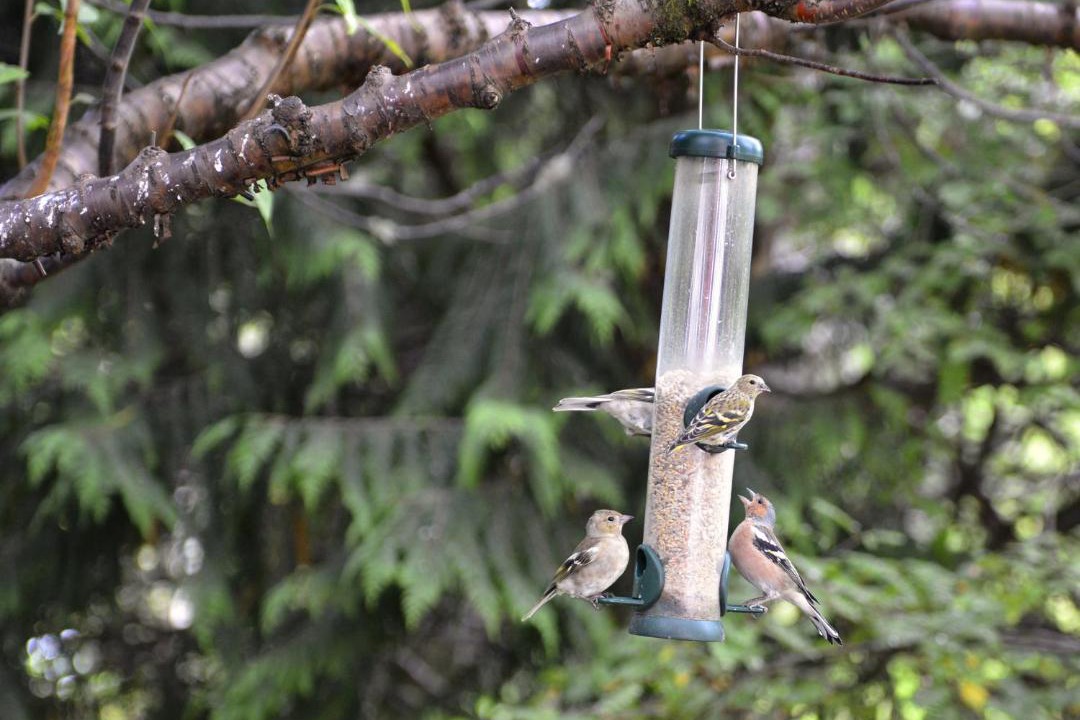 Photo of Outdoor in Pitlochry