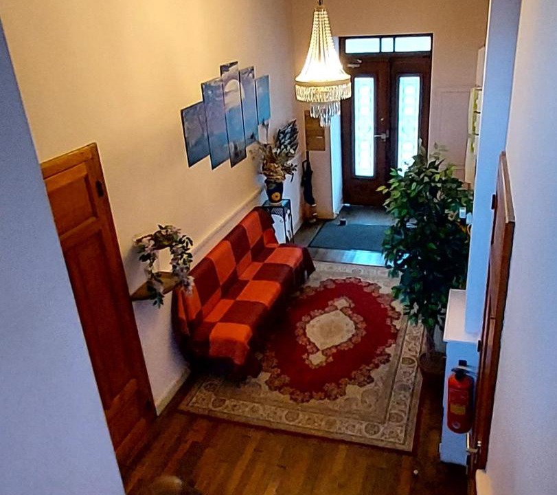 Photo of Others in Tulle