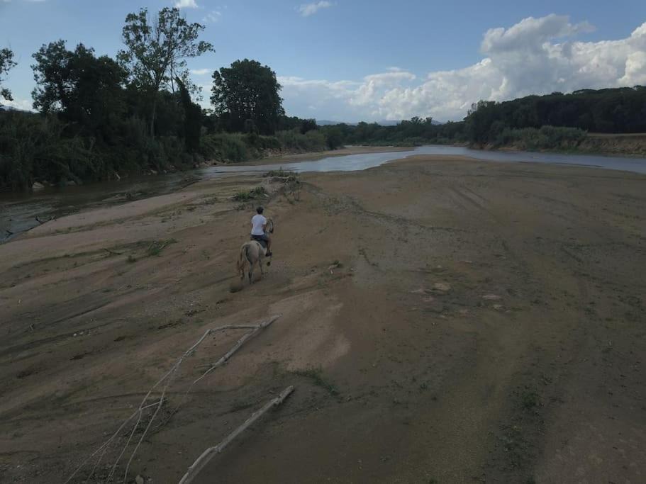 Photo of Outdoor in Tordera