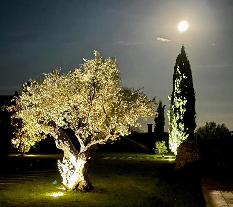 Photo of Others in Jonquieres