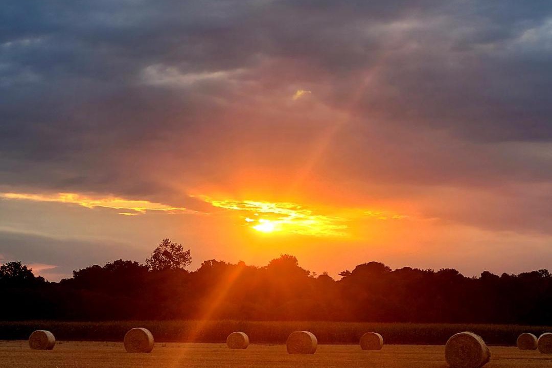 Photo of Others in Pleugueneuc