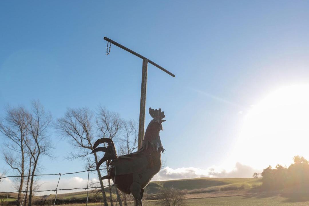 Photo of Others in Ford