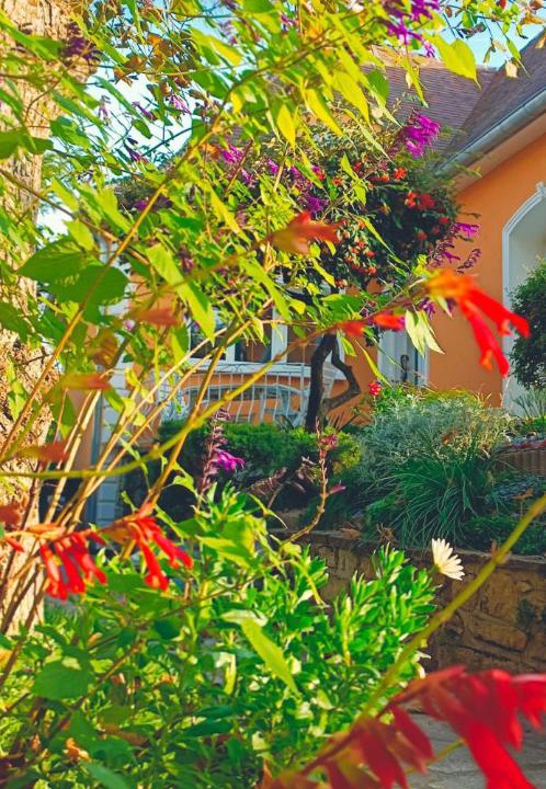 Photo of Others in Les Muriers