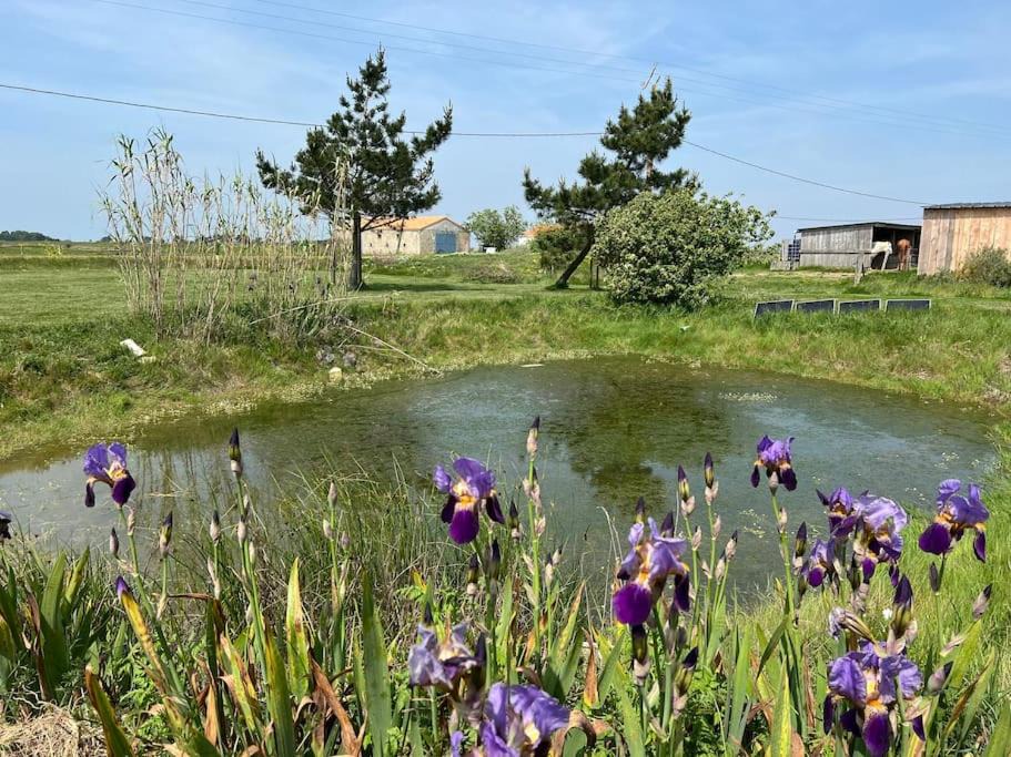 Photo of Others in Bouin