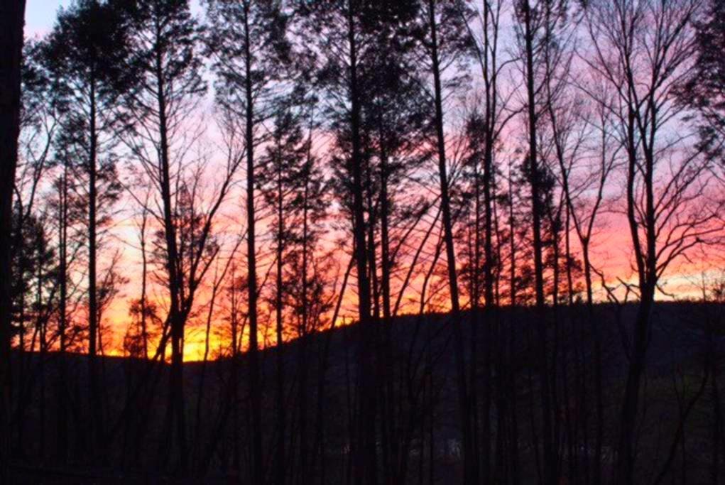 Photo of Others in Montague