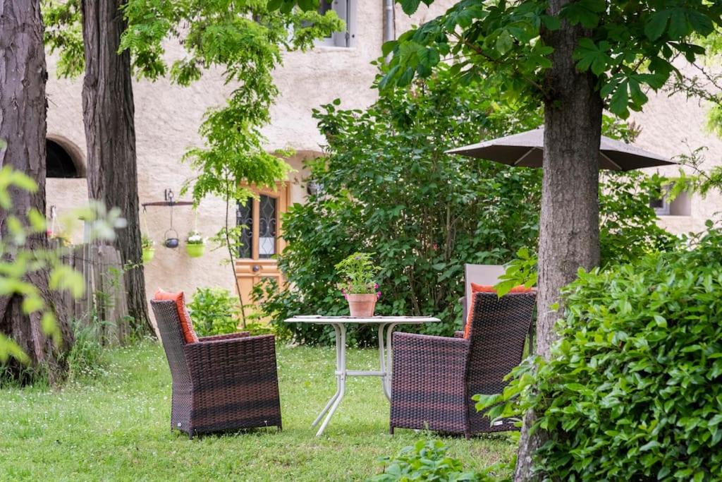 Photo of Others in Limoux