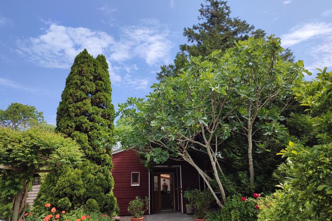 Photo of Others in Andres