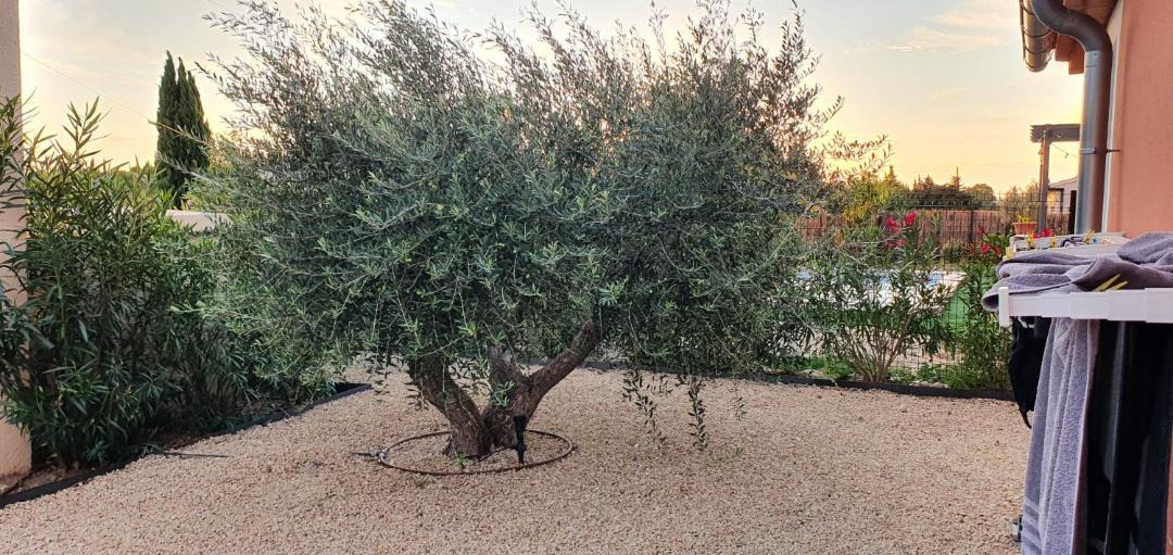 Photo of Others in Lagnes