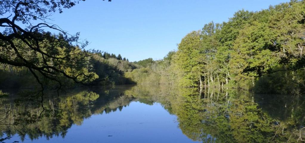 Photo of Others in Haslemere