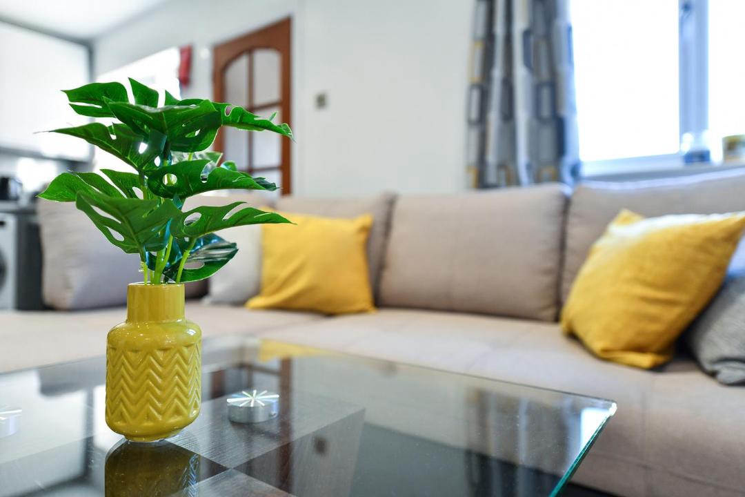 Photo of Others in Mansfield